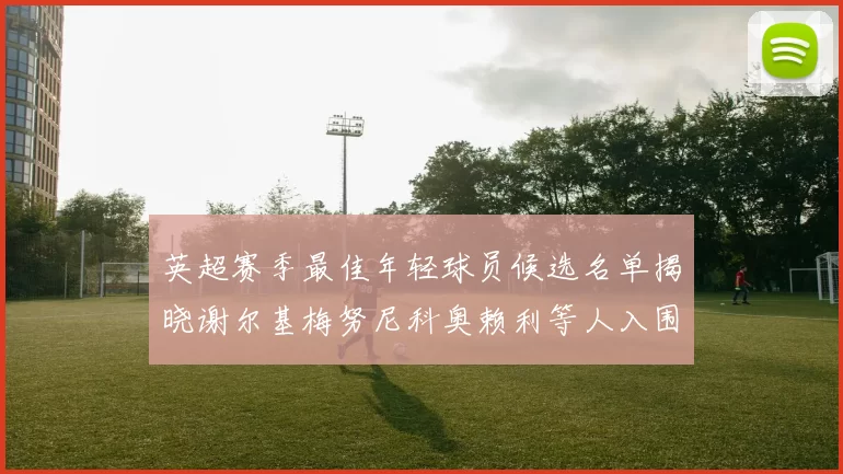英超赛季最佳年轻球员候选名单揭晓谢尔基梅努尼科奥赖利等人入围