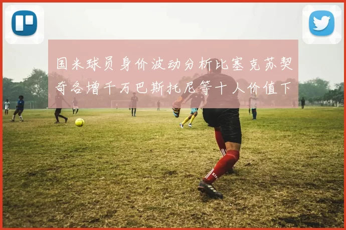 国米球员身价波动分析比塞克苏契奇各增千万巴斯托尼等十人价值下滑